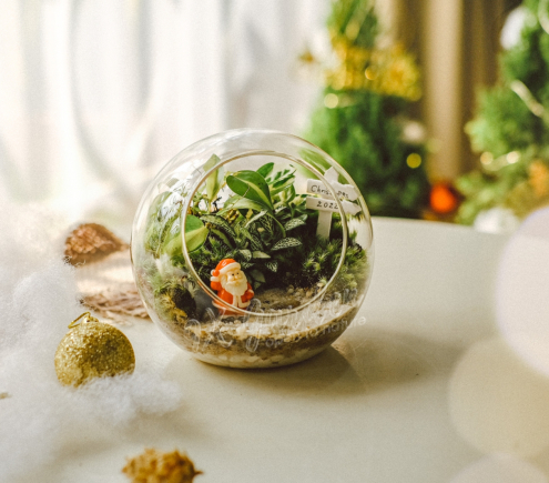 CẦN TUYỂN GẤP 1 CÔ GIÚP VIỆC NHÀ LÀM BAO ĂN Ở LẠI, QUẬN 9 TP HCM
