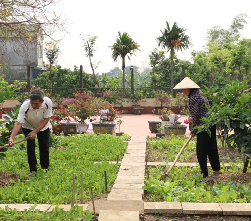 Tuyển người  làm vườn 